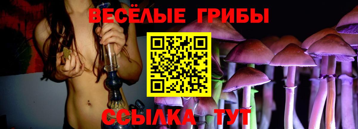 Светлоград  Псилоцибиновые грибы GOLDEN TEACHER  Вход с VPN 